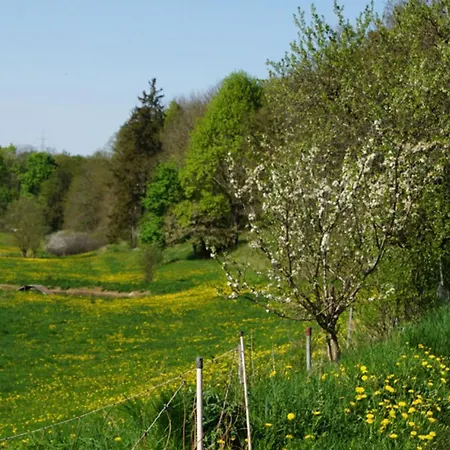 Κάμπινγκ Eselstall Frieder Lohma