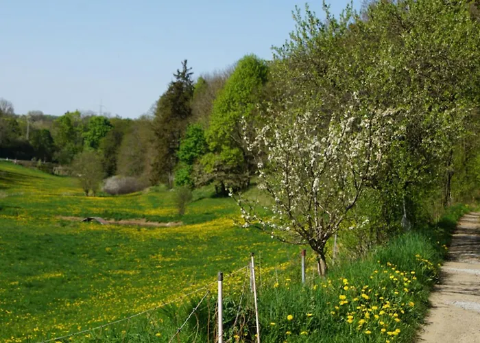 Camping Eselstall Frieder Lohma